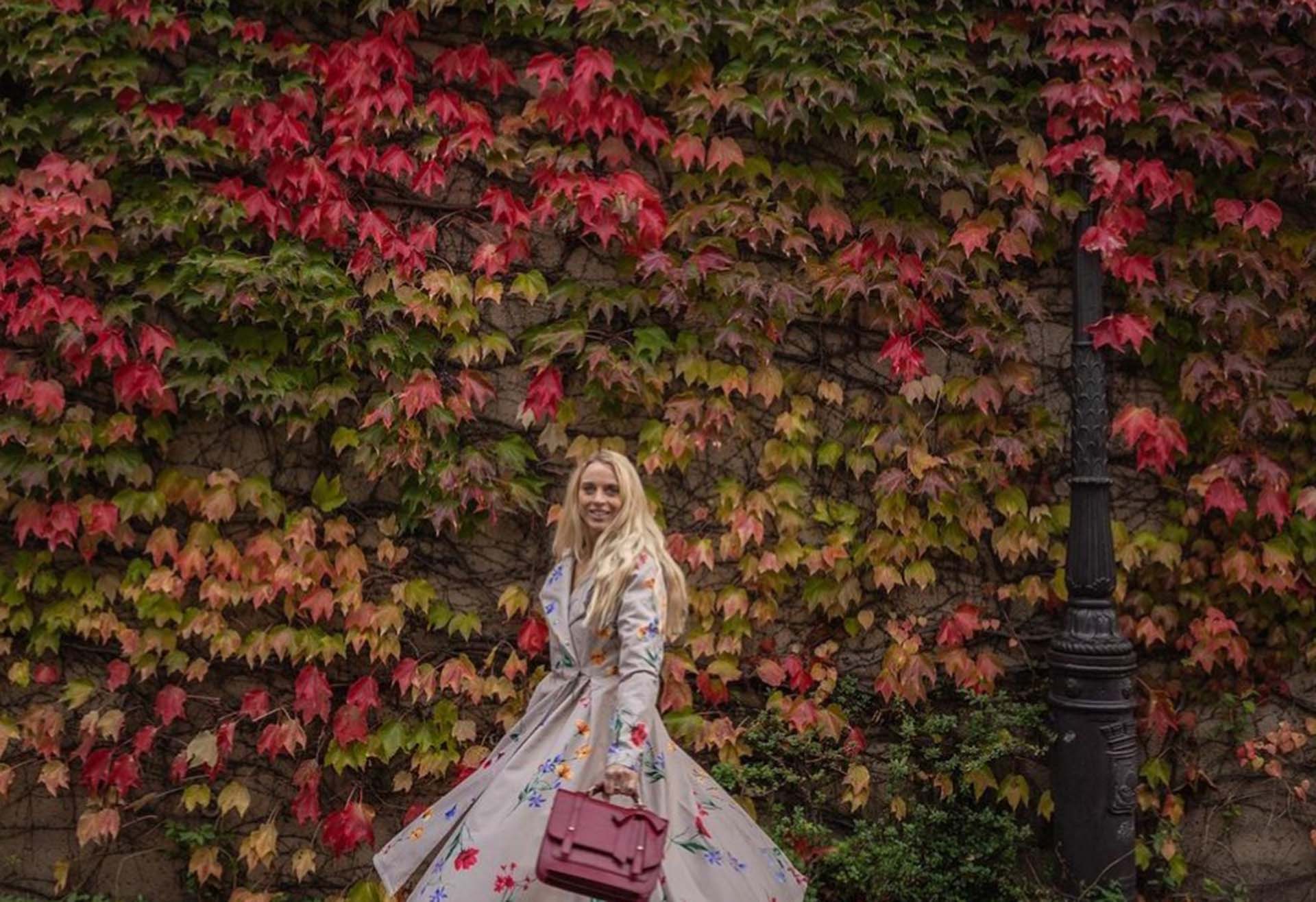 Secret Garden: Montmartre’s Hidden Oasis Behind the Ivy Wall