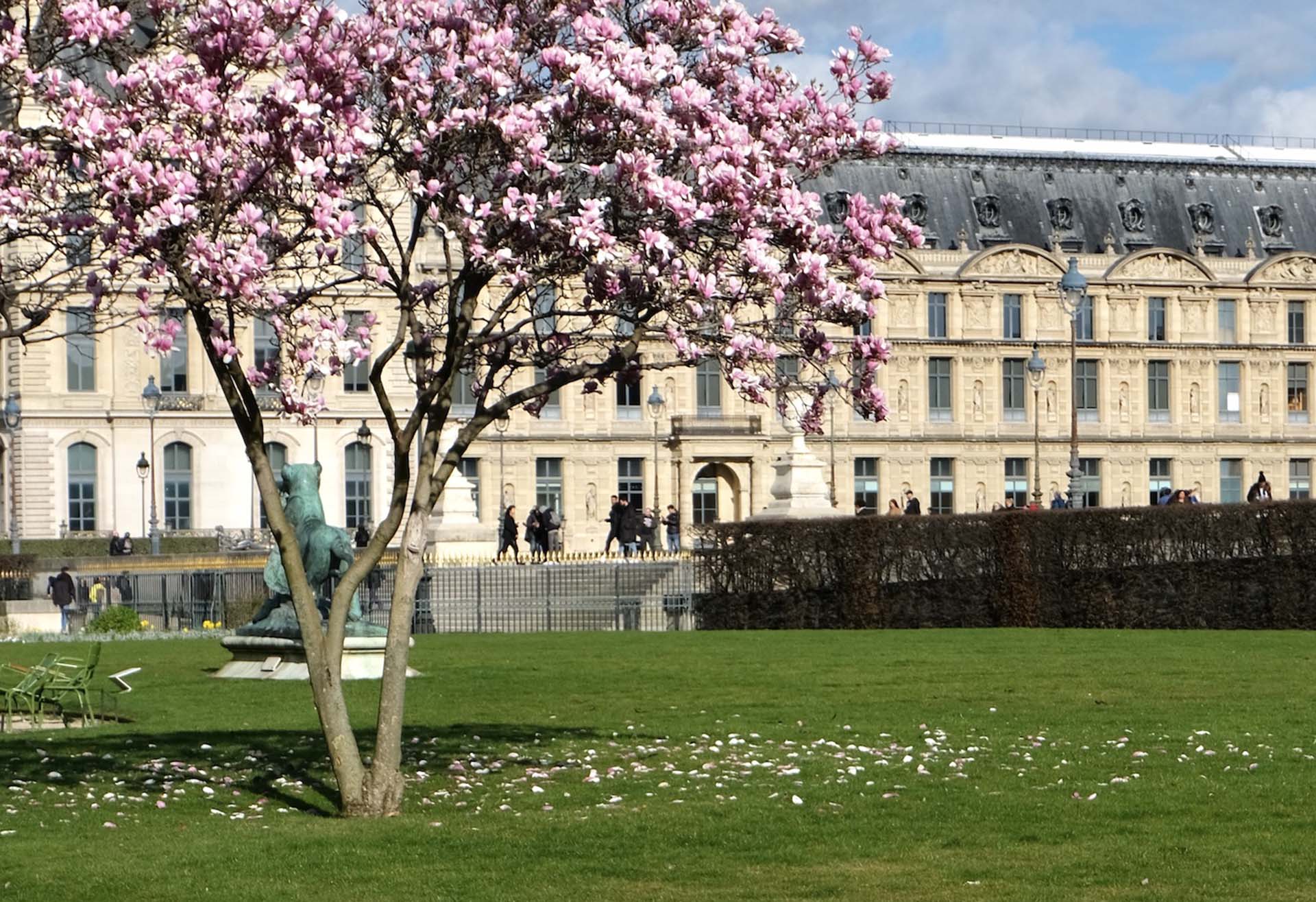 Paris in Bloom: Unveiling the Allure of April